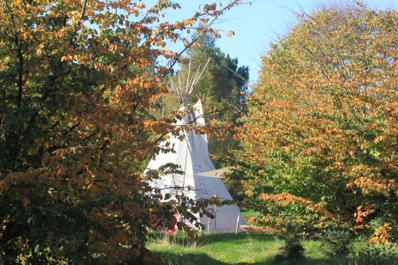 Отель Levaltipis Saint-Gatien-des-Bois Номер фото