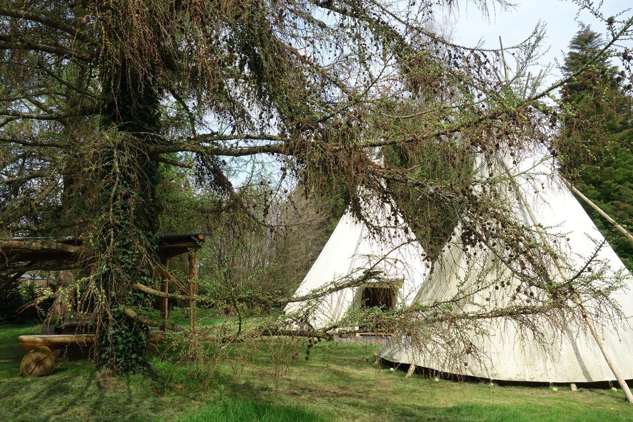 Отель Levaltipis Saint-Gatien-des-Bois Экстерьер фото